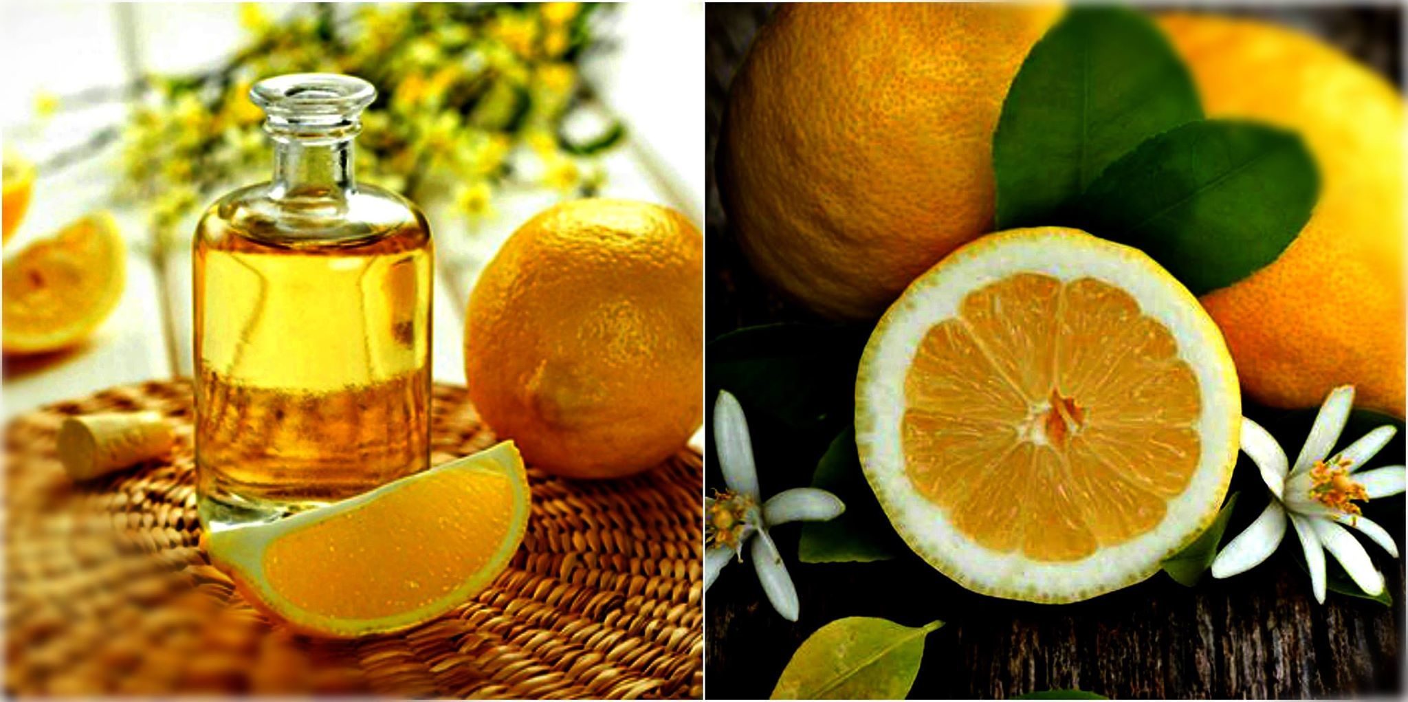 Lemon Oil Benefits
