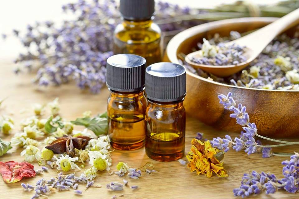 Benefits of Pennyroyal Essential Oil